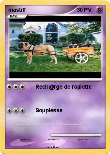 Pokemon mastiff
