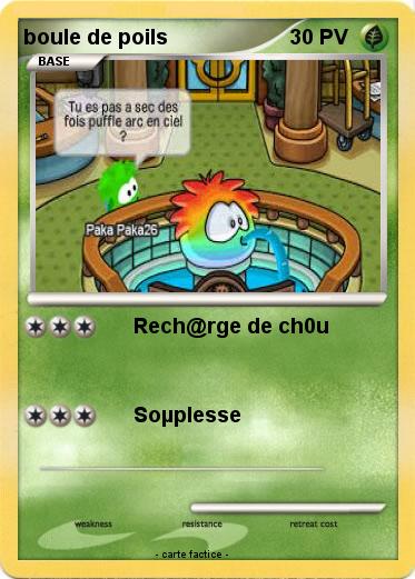 Pokemon boule de poils