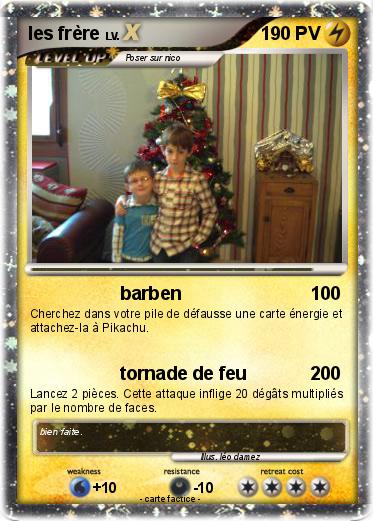 Pokemon les frère