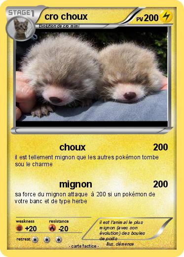 Pokemon cro choux