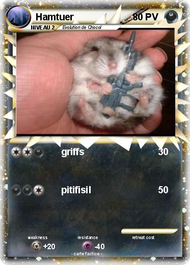 Pokemon Hamtuer