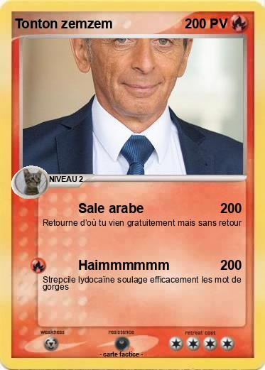 Pokemon Tonton zemzem