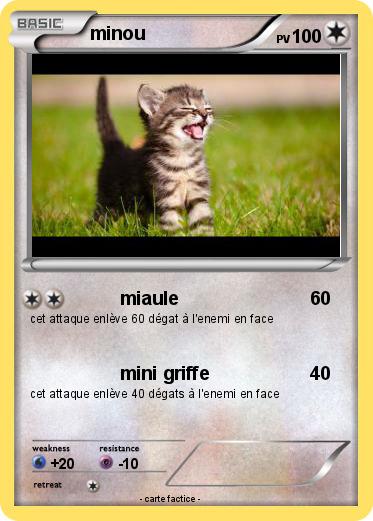 Pokemon minou