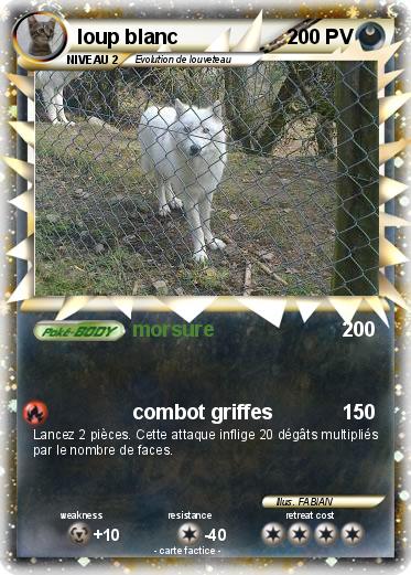 Pokemon loup blanc