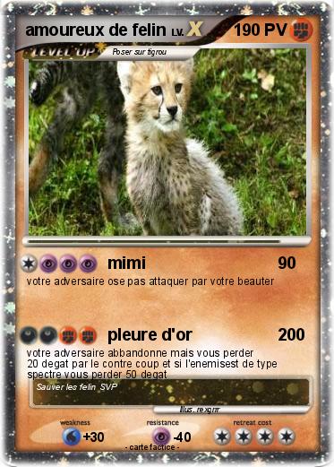 Pokemon amoureux de felin