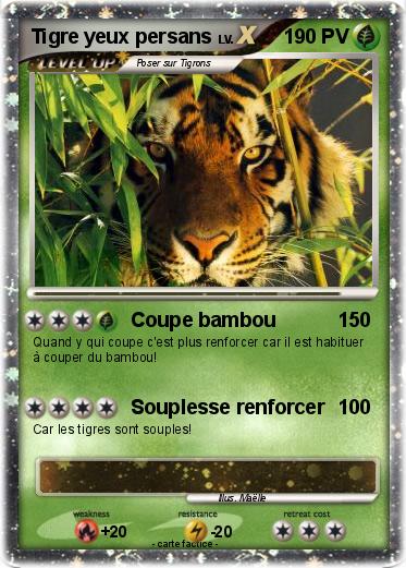 Pokemon Tigre yeux persans