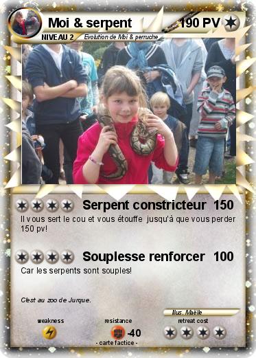 Pokemon Moi & serpent