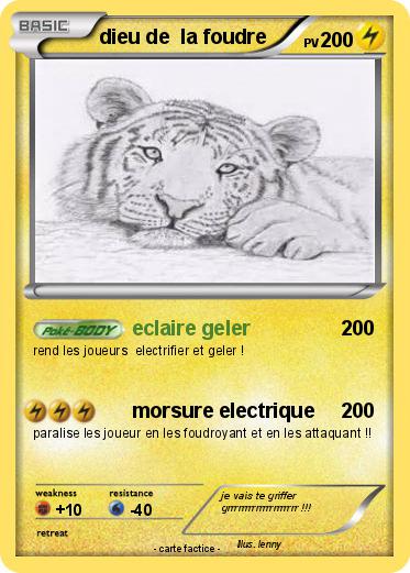 Pokemon dieu de  la foudre