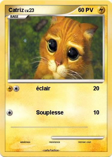 Pokemon Catriz