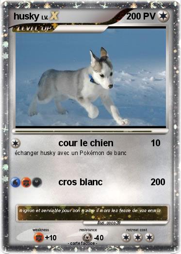 Pokemon husky