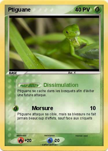 Pokemon Ptiguane