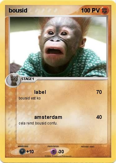 Pokemon bousid
