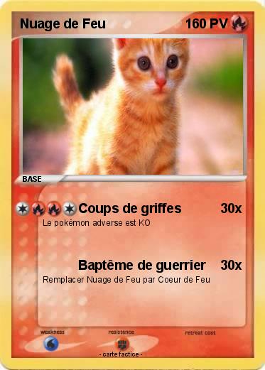 Pokemon Nuage de Feu