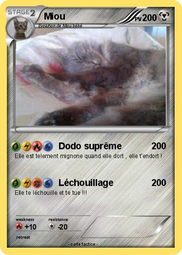 Pokemon Miou