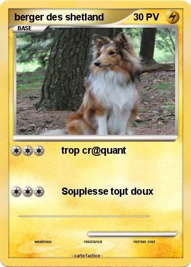 Pokemon berger des shetland