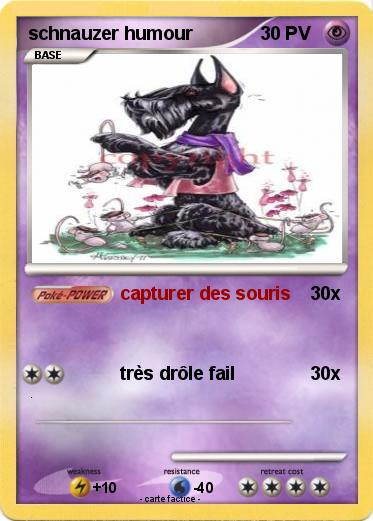 Pokemon schnauzer humour
