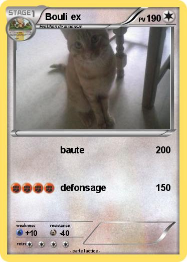 Pokemon Bouli ex