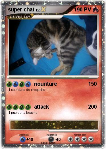 Pokemon super chat