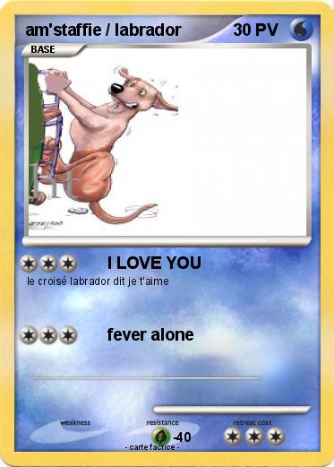 Pokemon am'staffie / labrador