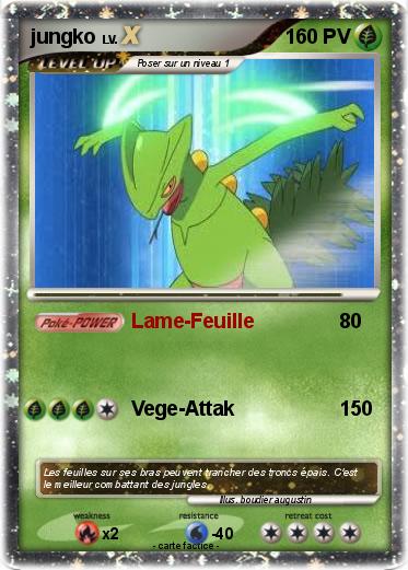 Pokemon jungko