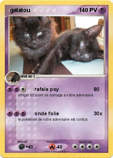 Pokemon  gatatou