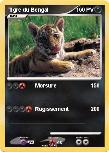 Pokemon Tigre du Bengal