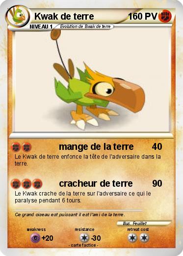 Pokemon Kwak de terre