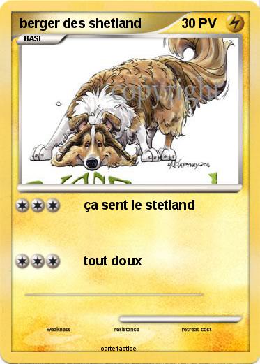 Pokemon berger des shetland
