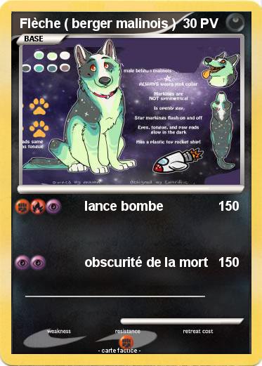Pokemon Flèche ( berger malinois )