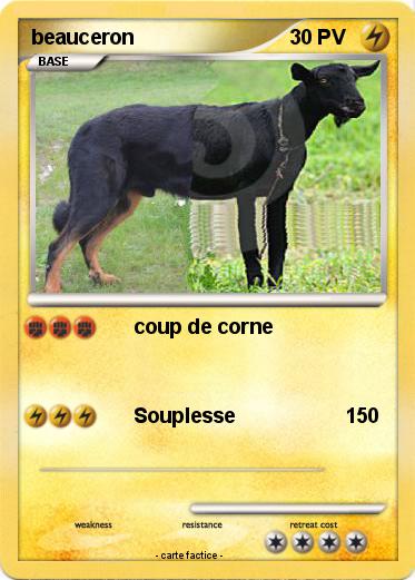 Pokemon beauceron