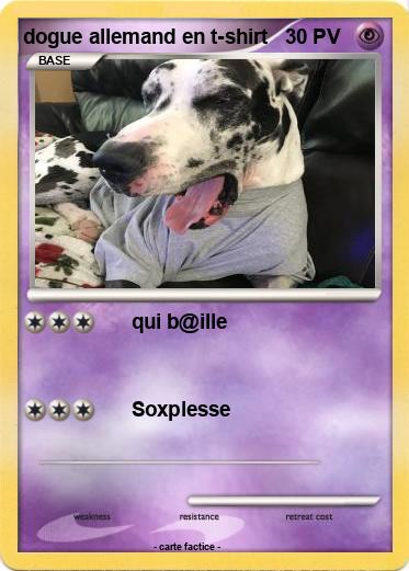 Pokemon dogue allemand en t-shirt
