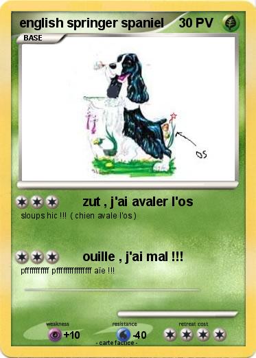 Pokemon english springer spaniel