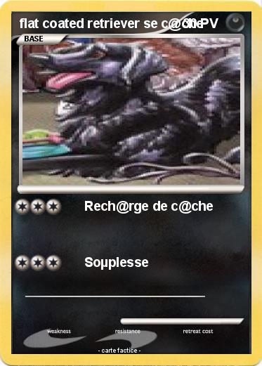 Pokemon flat coated retriever se c@che