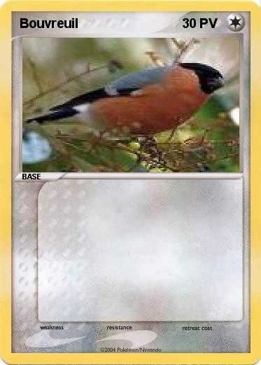 Pokemon Bouvreuil