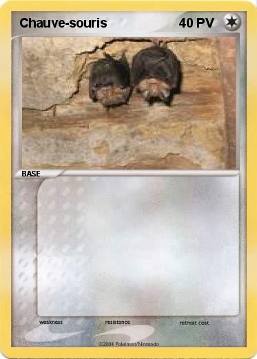 Pokemon Chauve-souris
