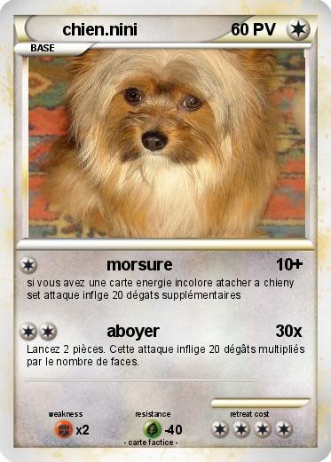 Pokemon chien.nini