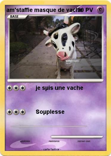 Pokemon am'staffie masque de vache