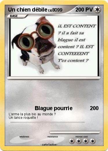 Pokemon Un chien débile