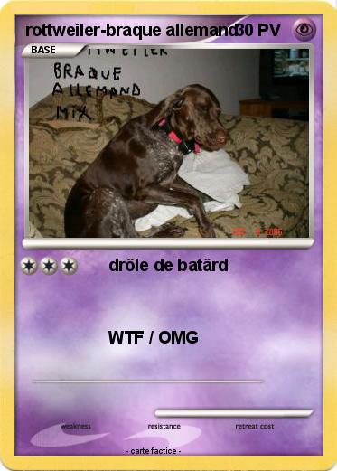 Pokemon rottweiler-braque allemand