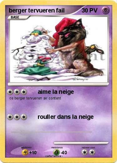 Pokemon berger tervueren fail