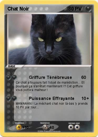 Pokemon Chat Noir