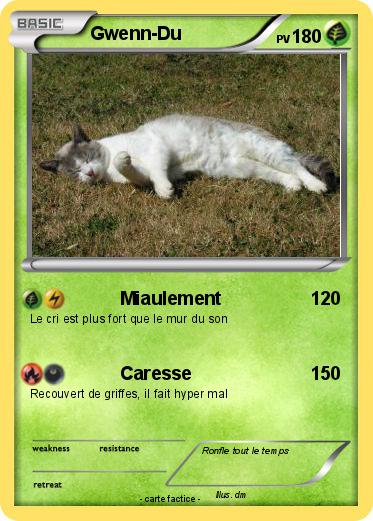 Pokemon Gwenn-Du