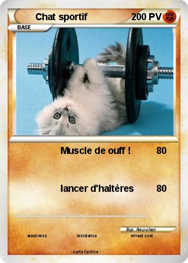 Pokemon Chat sportif