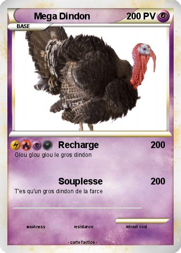 Pokemon Mega Dindon