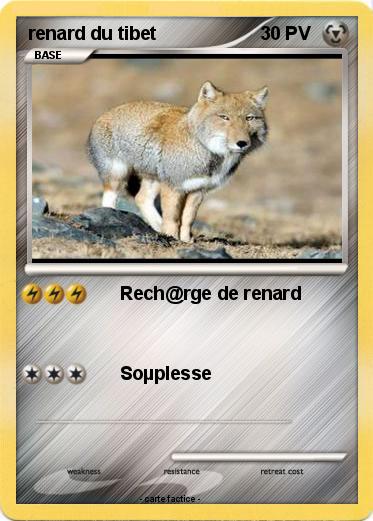 Pokemon renard du tibet
