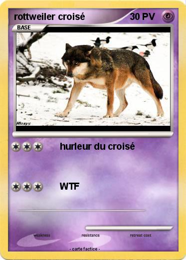 Pokemon rottweiler croisé