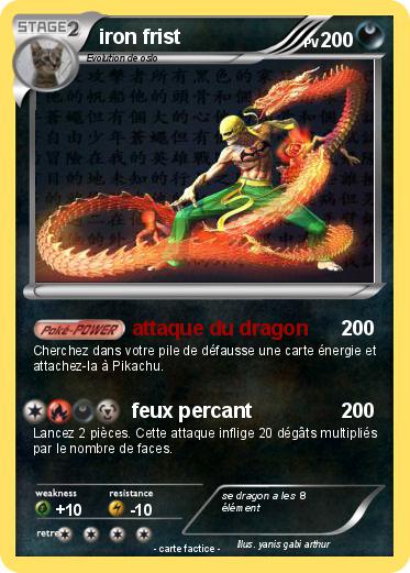 Pokemon iron frist