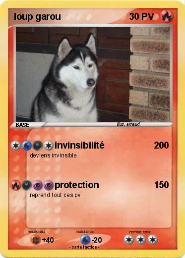 Pokemon loup garou