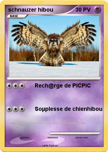 Pokemon schnauzer hibou
