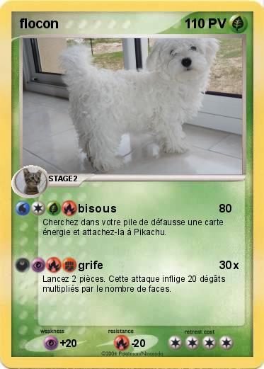 Pokemon flocon